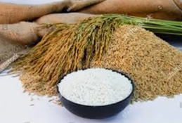 Premium Long Grain Basmati Rice, Aromatic & Fluffy