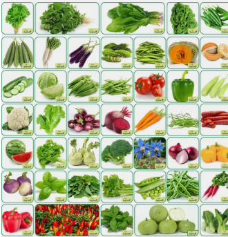 Seeds 45 Varieties 3500+ seeds(Organic/Hybrid)