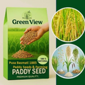Dhan Paddy Seeds Germination Seed (100g)